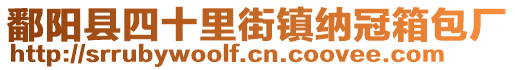 鄱陽縣四十里街鎮(zhèn)納冠箱包廠