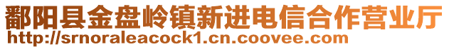 鄱陽(yáng)縣金盤嶺鎮(zhèn)新進(jìn)電信合作營(yíng)業(yè)廳