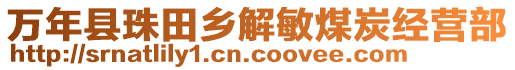萬年縣珠田鄉(xiāng)解敏煤炭經(jīng)營部