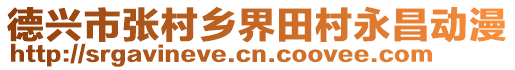 德興市張村鄉(xiāng)界田村永昌動漫