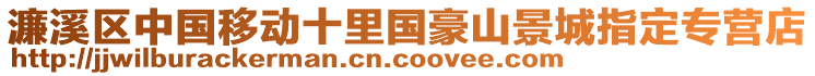 濂溪區(qū)中國(guó)移動(dòng)十里國(guó)豪山景城指定專營(yíng)店