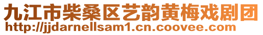 九江市柴桑區(qū)藝韻黃梅戲劇團