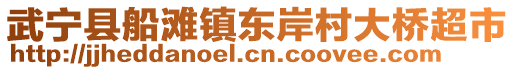 武寧縣船灘鎮(zhèn)東岸村大橋超市