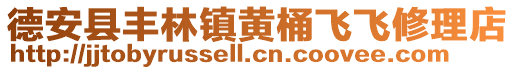 德安县丰林镇黄桶飞飞修理店