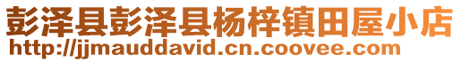 彭澤縣彭澤縣楊梓鎮(zhèn)田屋小店