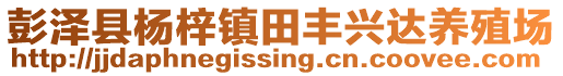 彭澤縣楊梓鎮(zhèn)田豐興達(dá)養(yǎng)殖場