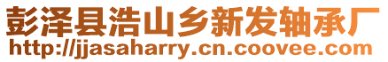 彭澤縣浩山鄉(xiāng)新發(fā)軸承廠