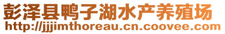 彭澤縣鴨子湖水產(chǎn)養(yǎng)殖場