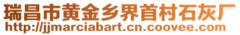 瑞昌市黃金鄉(xiāng)界首村石灰廠