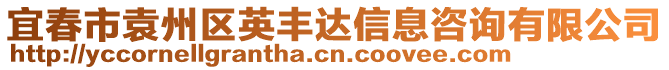 宜春市袁州區(qū)英豐達信息咨詢有限公司