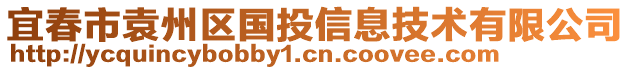 宜春市袁州區(qū)國投信息技術(shù)有限公司