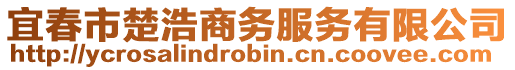 宜春市楚浩商務(wù)服務(wù)有限公司