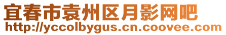 宜春市袁州區(qū)月影網(wǎng)吧