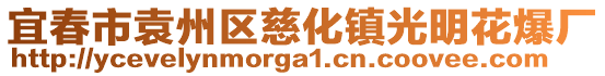 宜春市袁州區(qū)慈化鎮(zhèn)光明花爆廠