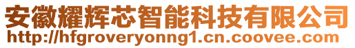 安徽耀輝芯智能科技有限公司