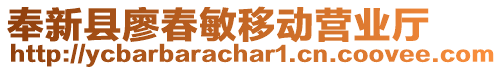 奉新縣廖春敏移動營業(yè)廳