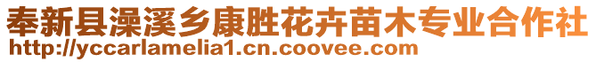 奉新縣澡溪鄉(xiāng)康勝花卉苗木專業(yè)合作社