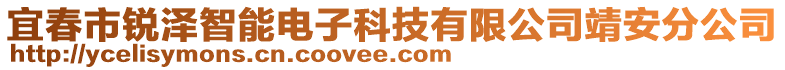 宜春市銳澤智能電子科技有限公司靖安分公司