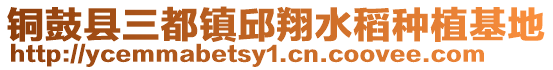 铜鼓县三都镇邱翔水稻种植基地