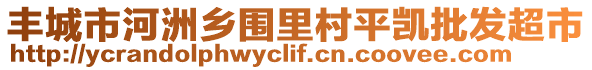 豐城市河洲鄉(xiāng)圍里村平凱批發(fā)超市