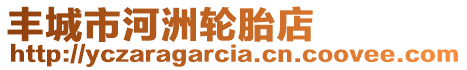 豐城市河洲輪胎店