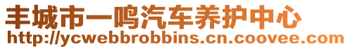 豐城市一鳴汽車養(yǎng)護中心