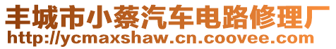 豐城市小蔡汽車電路修理廠