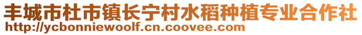 丰城市杜市镇长宁村水稻种植专业合作社