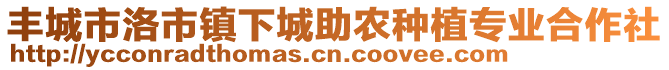 豐城市洛市鎮(zhèn)下城助農(nóng)種植專業(yè)合作社