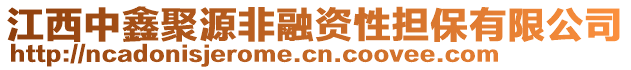 江西中鑫聚源非融资性担保有限公司