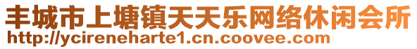 豐城市上塘鎮(zhèn)天天樂網(wǎng)絡(luò)休閑會(huì)所