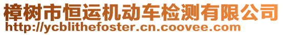 樟樹市恒運(yùn)機(jī)動(dòng)車檢測有限公司