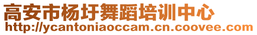 高安市楊圩舞蹈培訓(xùn)中心