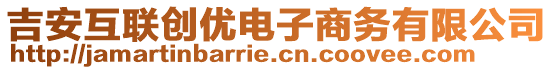 吉安互聯(lián)創(chuàng)優(yōu)電子商務(wù)有限公司