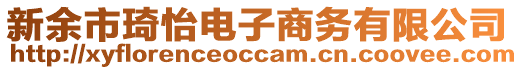 新余市琦怡電子商務(wù)有限公司