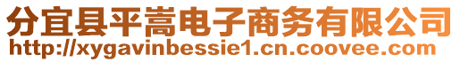 分宜縣平嵩電子商務有限公司