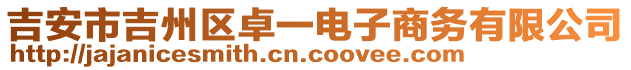 吉安市吉州區卓一電子商務有限公司