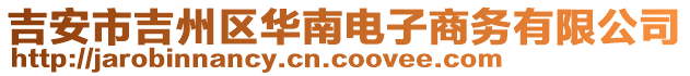 吉安市吉州區(qū)華南電子商務(wù)有限公司