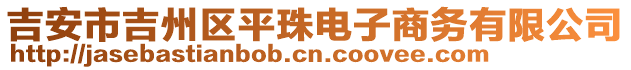 吉安市吉州區(qū)平珠電子商務有限公司