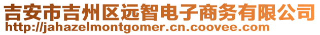吉安市吉州區(qū)遠智電子商務(wù)有限公司