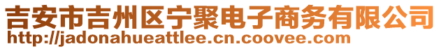 吉安市吉州區(qū)寧聚電子商務(wù)有限公司
