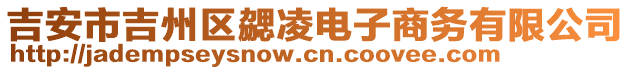 吉安市吉州區(qū)勰凌電子商務(wù)有限公司