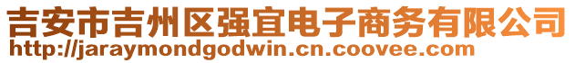 吉安市吉州區強宜電子商務有限公司