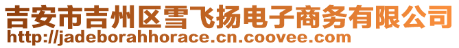 吉安市吉州區(qū)雪飛揚(yáng)電子商務(wù)有限公司