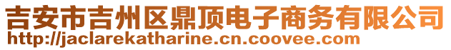 吉安市吉州區(qū)鼎頂電子商務有限公司