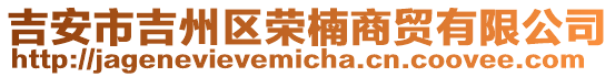 吉安市吉州區(qū)榮楠商貿(mào)有限公司
