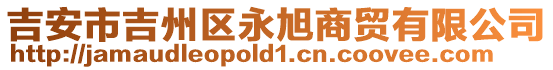 吉安市吉州區(qū)永旭商貿有限公司