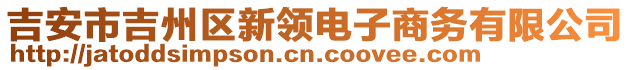 吉安市吉州區(qū)新領(lǐng)電子商務(wù)有限公司