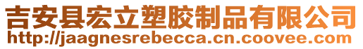 吉安县宏立塑胶制品有限公司