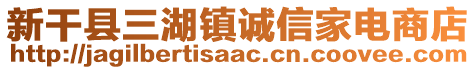 新干县三湖镇诚信家电商店